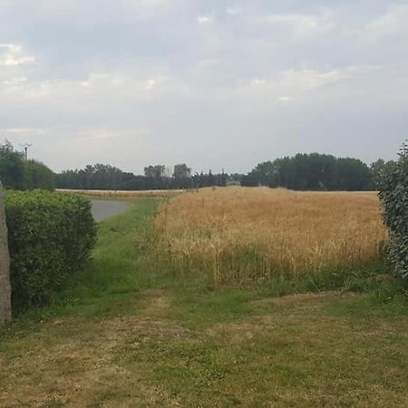 Gite 3 Places Au Coeur Du Tregor Langoat 외부 사진